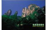 網(wǎng)絡(luò)熱門純玩游：張家界、天子山、袁家界、楊家界 自助三日游