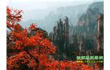 春節(jié)期間：張家界、天子山、金鞭溪自駕車精華精品游
