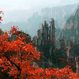 休閑自駕E線：張家界、袁家界、天子山、寶峰湖、鳳凰古城、沱江泛舟四晚五日游