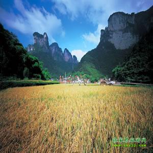 張家界往返純玩散拼：矮寨大橋、德夯苗寨、鳳凰古城、芙蓉鎮(zhèn)二日游